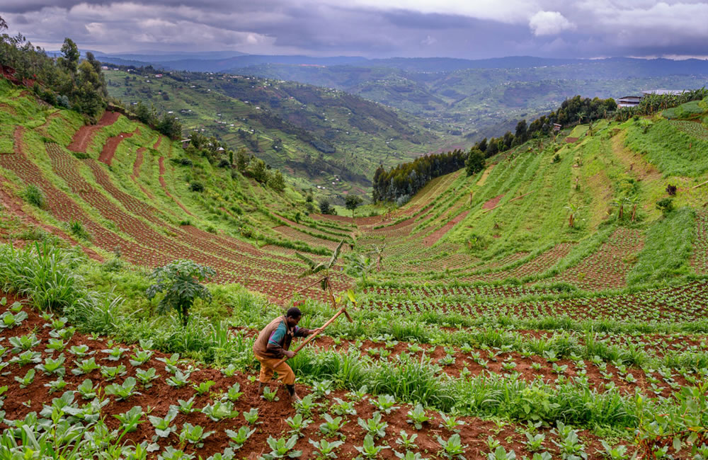 Best 5 Things to Do in Rwanda