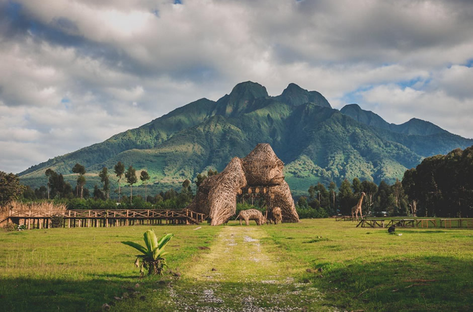 Travelogues: Visiting Africa’s Mountain Gorillas