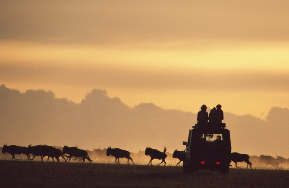Best 5 Safari Destinations in Africa