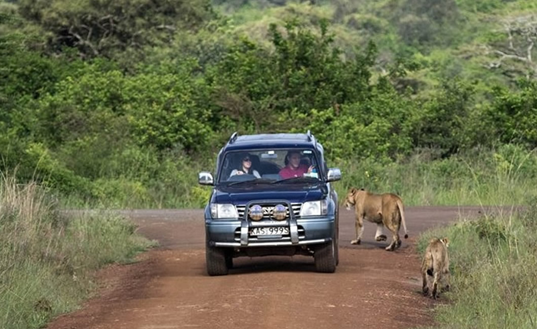 A Complete Guide to Self Drive Safari in Kenya